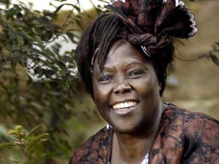 Wangari Maathai picture, image, poster